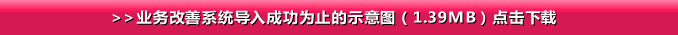 >>业务改善系统导入成功为止的示意图（1.39MB）点击下载